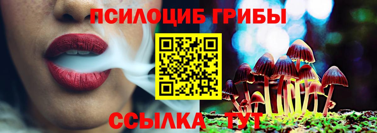 Галлюциногенные грибы ЛСД Баксан
